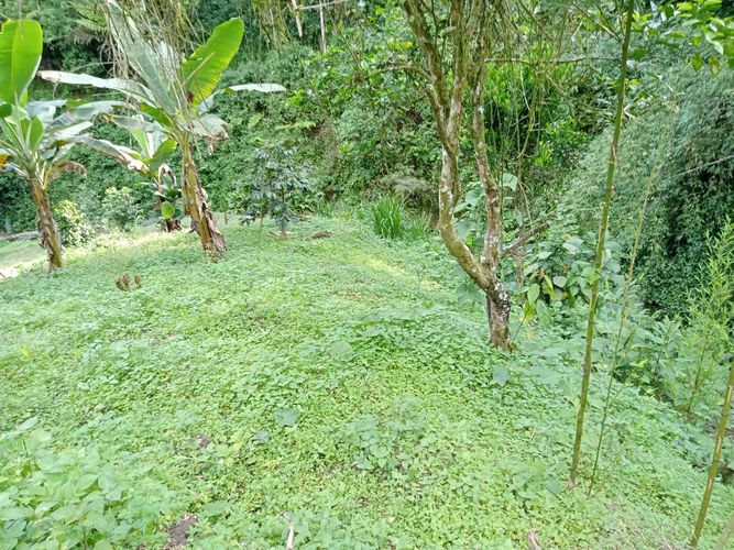 Lote en venta en Filobonito, Dosquebradas, 3800 m² · foto 7 de 9