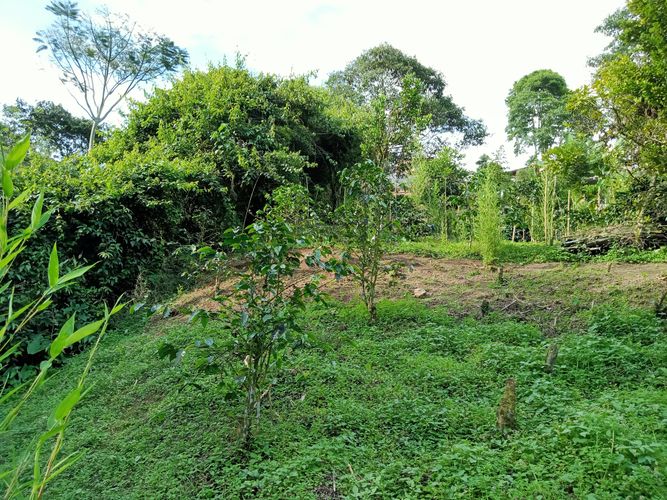 Lote en venta en Filobonito, Dosquebradas, 3800 m² · foto 8 de 9