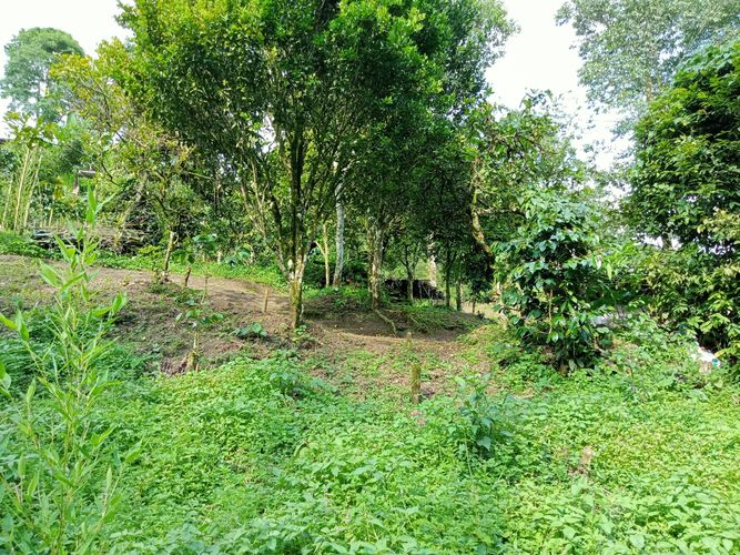 Lote en venta en Filobonito, Dosquebradas, 3800 m² · foto 9 de 9