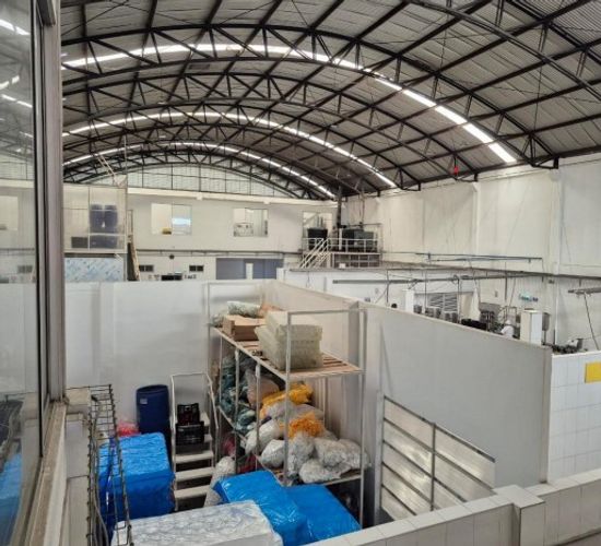 Bodega en venta en Cr Alejandria Real Viii, Mosquera, 1168 m² · foto 2 de 6