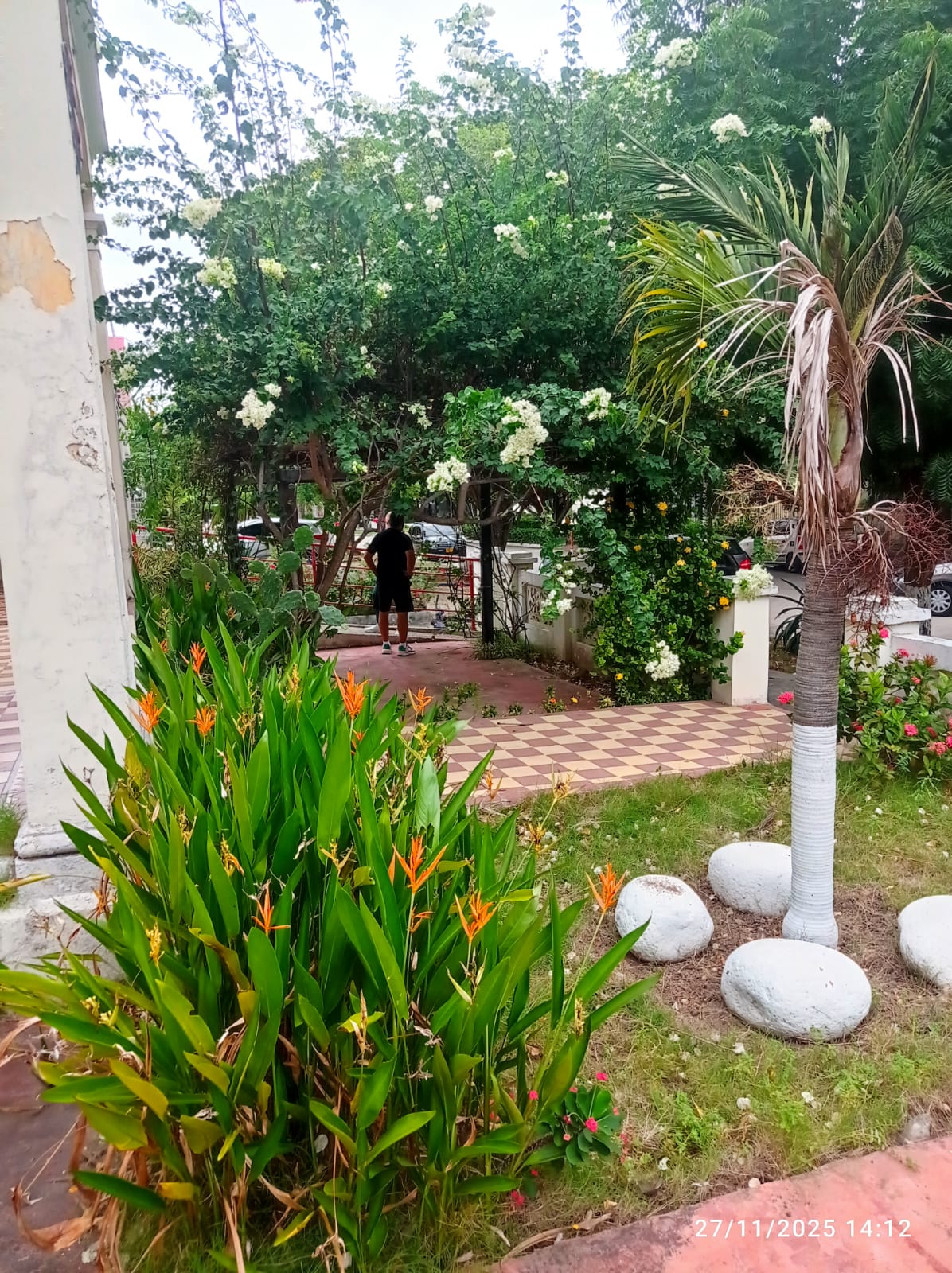 Casa en arriendo en El Prado, Barranquilla · foto 4 de 14