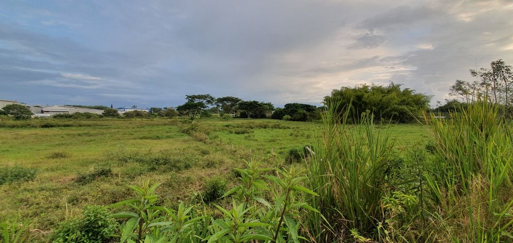 Lote en venta en Cerritos, Pereira, 5223 m² · foto 6 de 21
