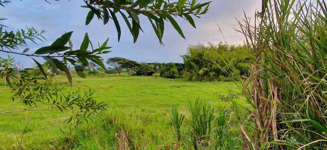 Lote en venta en Cerritos, Pereira, 5223 m² · foto 5 de 21
