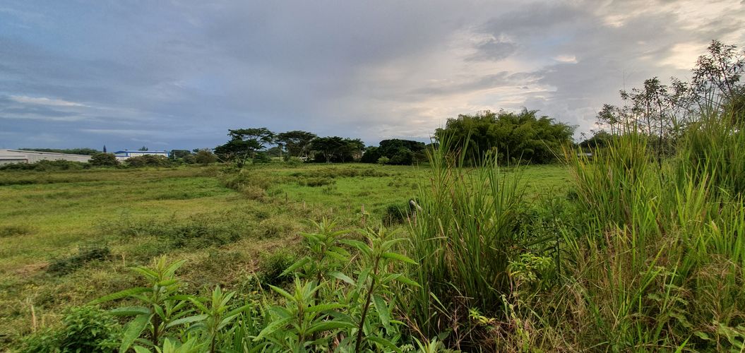 Lote en venta en Cerritos, Pereira, 5223 m² · foto 4 de 21