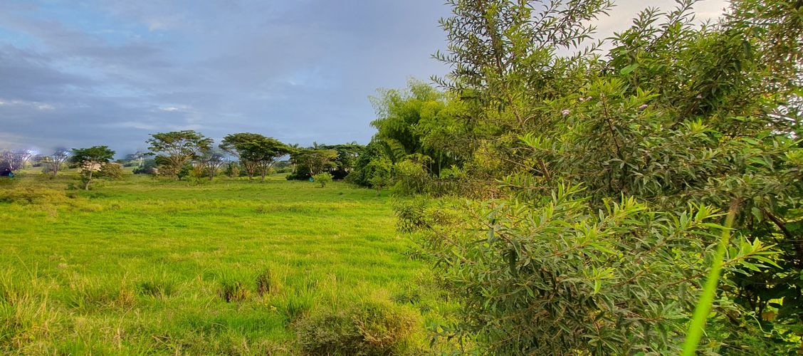 Lote en venta en Cerritos, Pereira, 5223 m² · foto 7 de 21