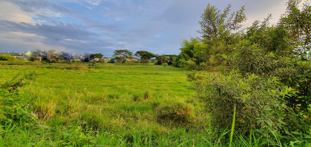 Lote en venta en Cerritos, Pereira, 5223 m² · foto 12 de 21