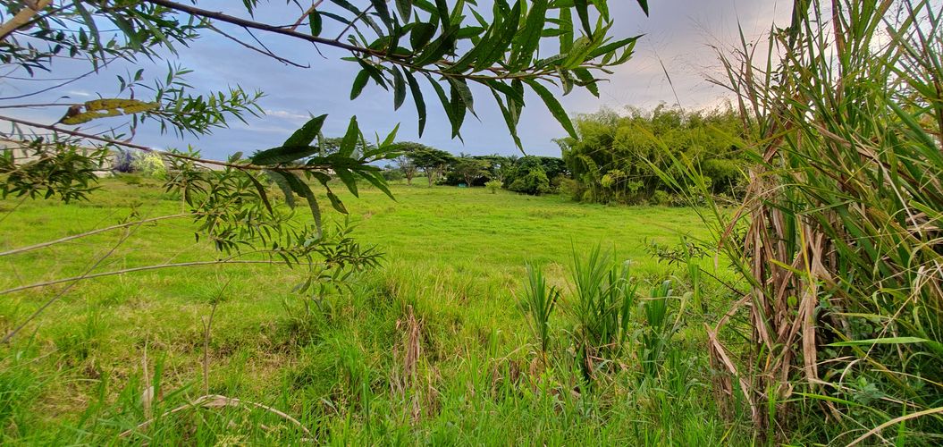 Lote en venta en Cerritos, Pereira, 5223 m² · foto 13 de 21