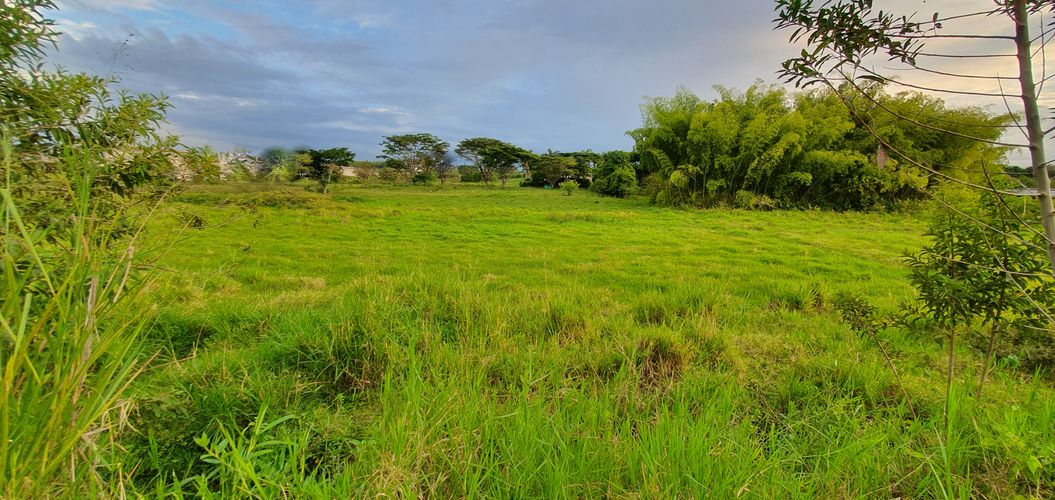 Lote en venta en Cerritos, Pereira, 5223 m² · foto 15 de 21