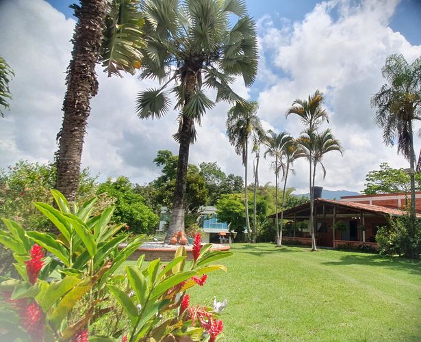 Finca en venta en Combia Baja, Pereira, 4900 m² · foto 8 de 24