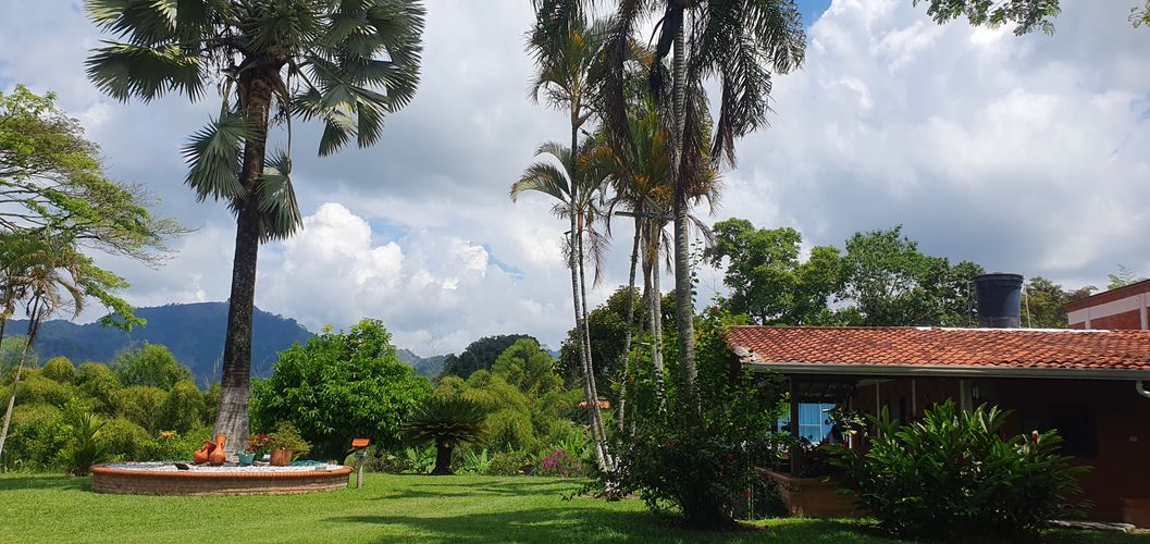 Finca en venta en Combia Baja, Pereira, 4900 m² · foto 11 de 24