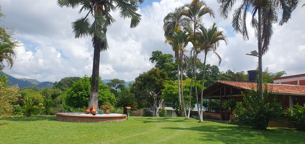 Finca en venta en Combia Baja, Pereira, 4900 m² · foto 4 de 24