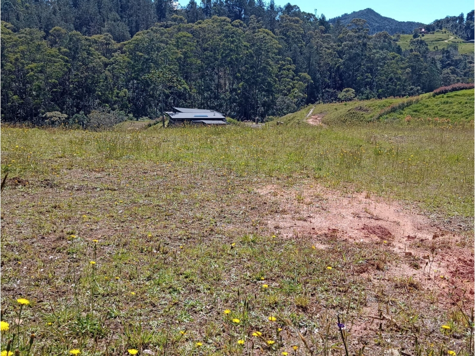 Land in Pantanillo (2900 m²) for Sale - 2