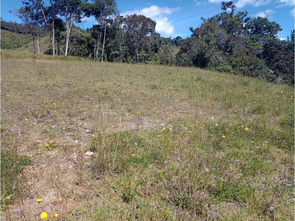 Land in Pantanillo (2900 m²) for Sale - 3