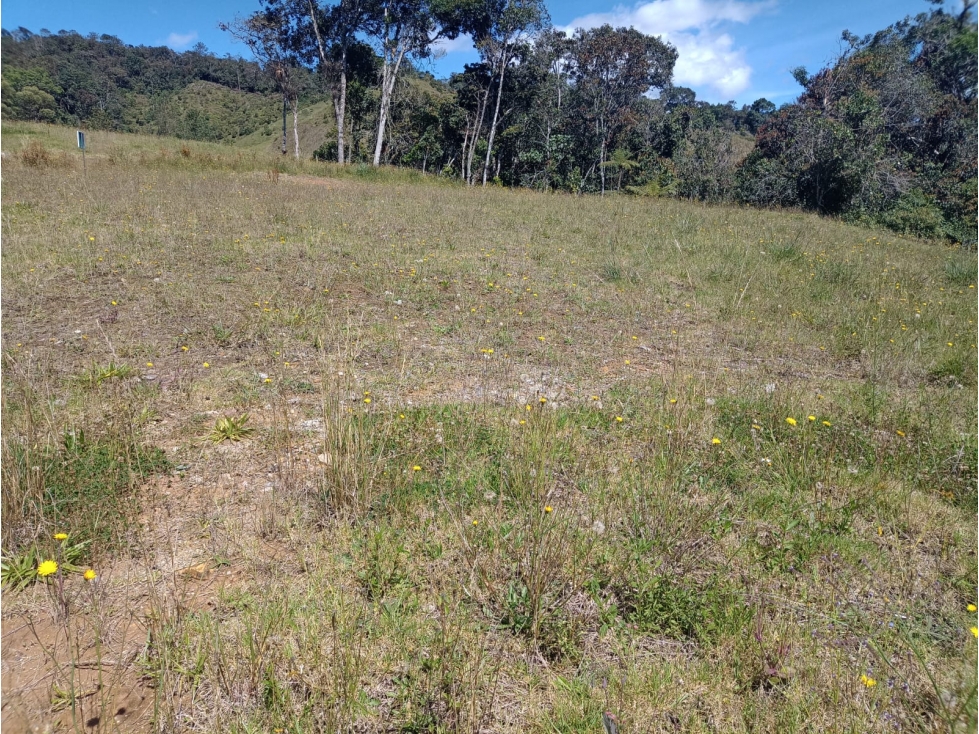 Land in Pantanillo (2900 m²) for Sale - 4