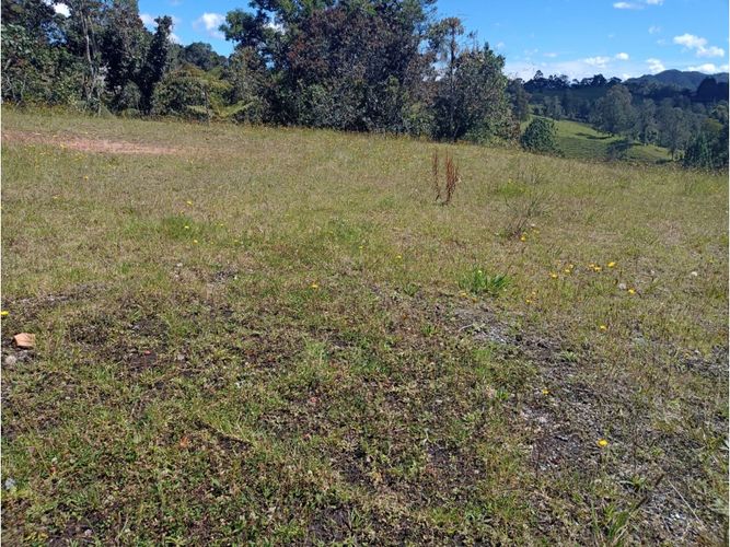 Lote en venta en Pantanillo, El Retiro, 2900 m² · foto 5 de 6