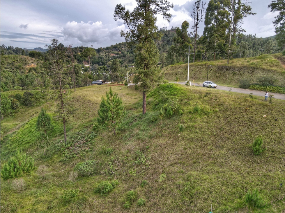 Land in Don diego for Sale