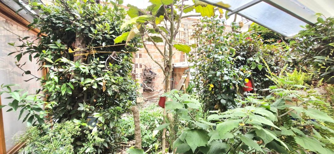 Casa de 9 alcobas en venta en Maldonado, Tunja, 250 m² · foto 12 de 22