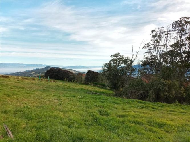 Lote en venta en Yerbabuena, Sopó, 2500 m² · foto 2 de 20