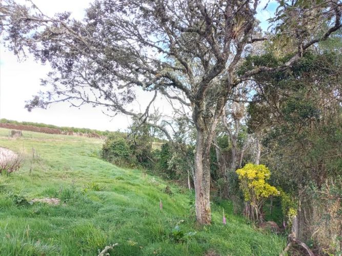 Lote en venta en Yerbabuena, Sopó, 2500 m² · foto 3 de 20