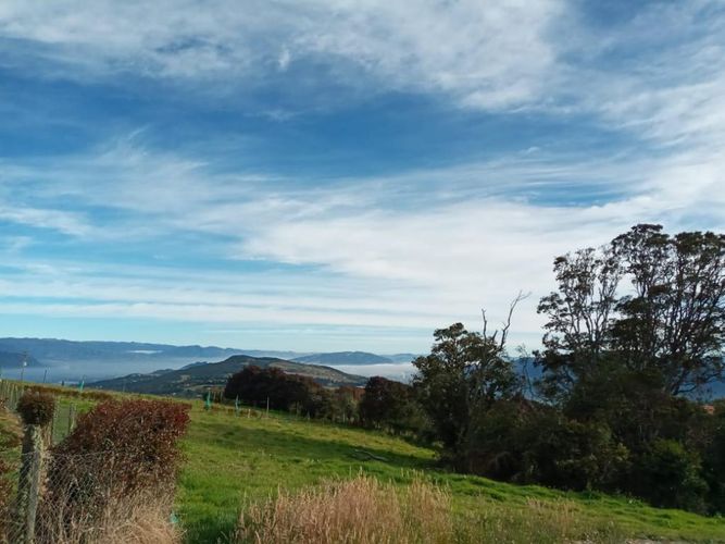 Lote en venta en Yerbabuena, Sopó, 2500 m² · foto 5 de 20