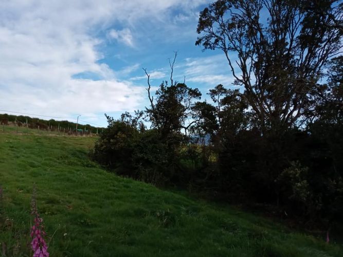 Lote en venta en Yerbabuena, Sopó, 2500 m² · foto 11 de 20