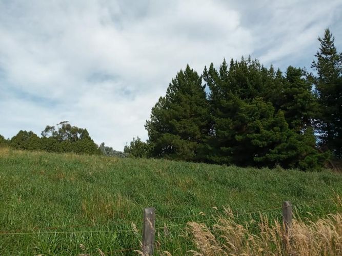 Lote en venta en Yerbabuena, Sopó, 2500 m² · foto 19 de 20