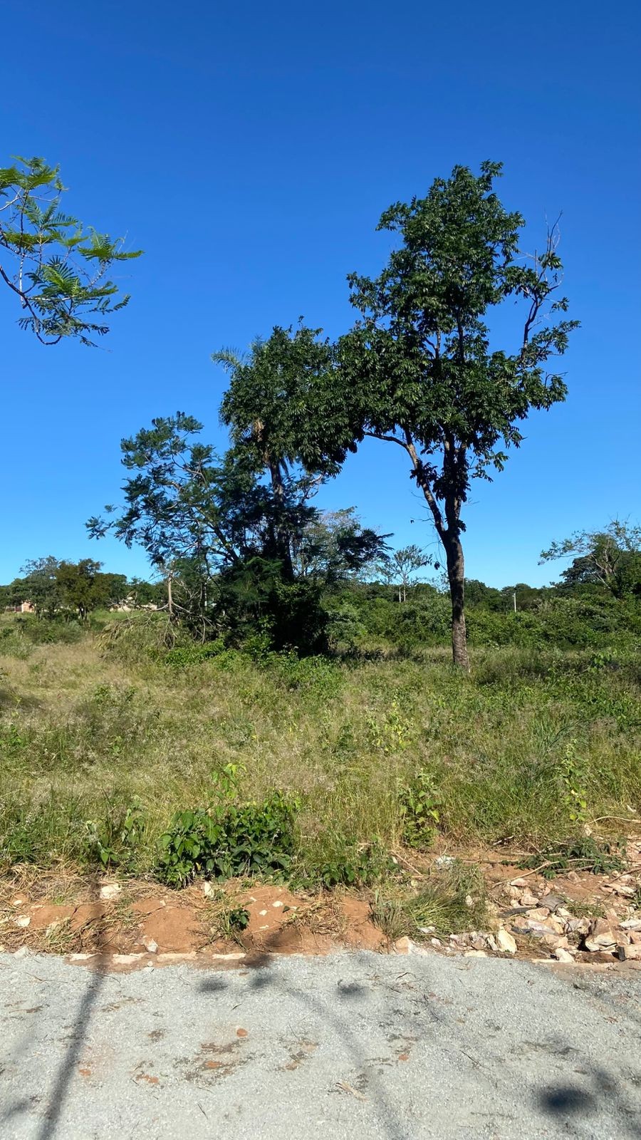 Terreno en venta en el apreciado Barrio de Ciervo Cuá - San Bernardino. — foto 2