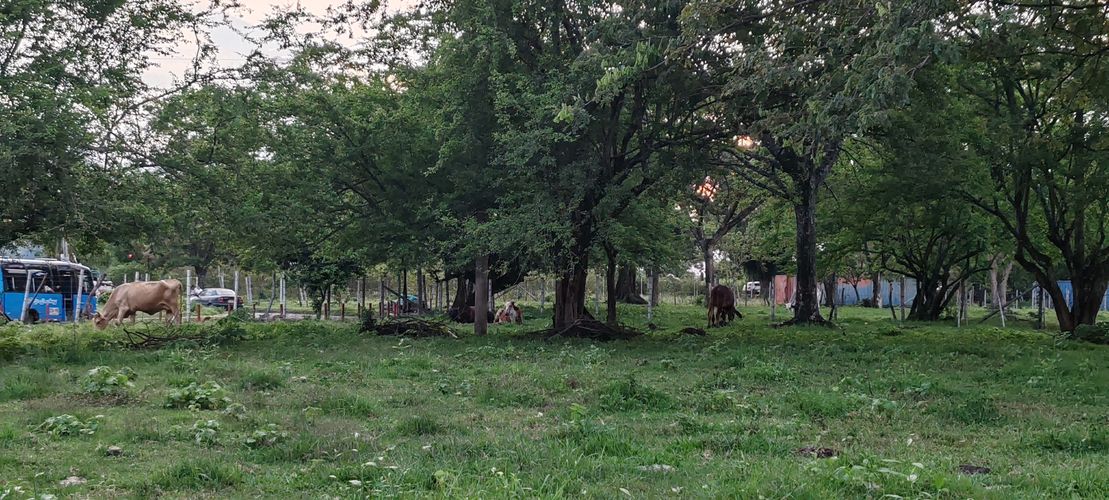 Lote en venta en San Isidro, Jamundí, 6000 m² · foto 3 de 7