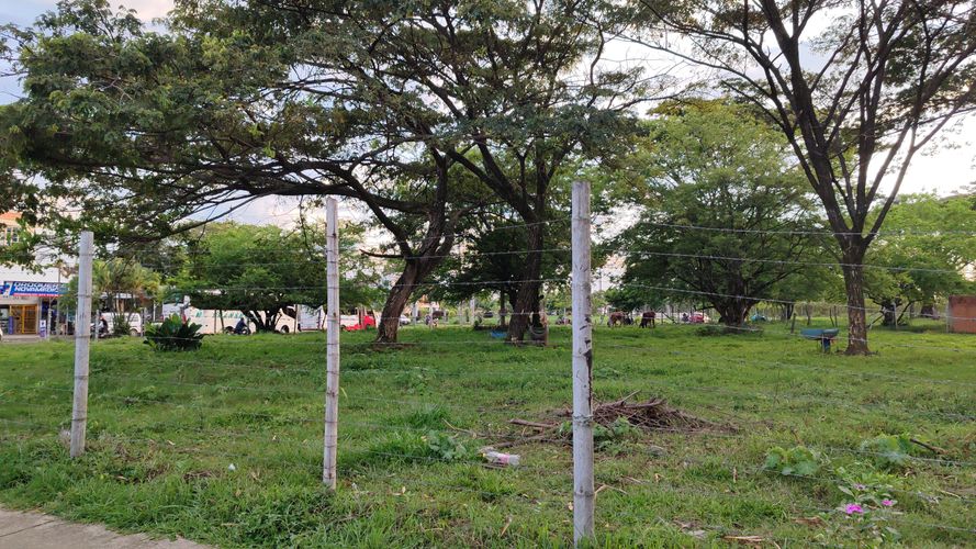 Lote en venta en San Isidro, Jamundí, 6000 m² · foto 4 de 7