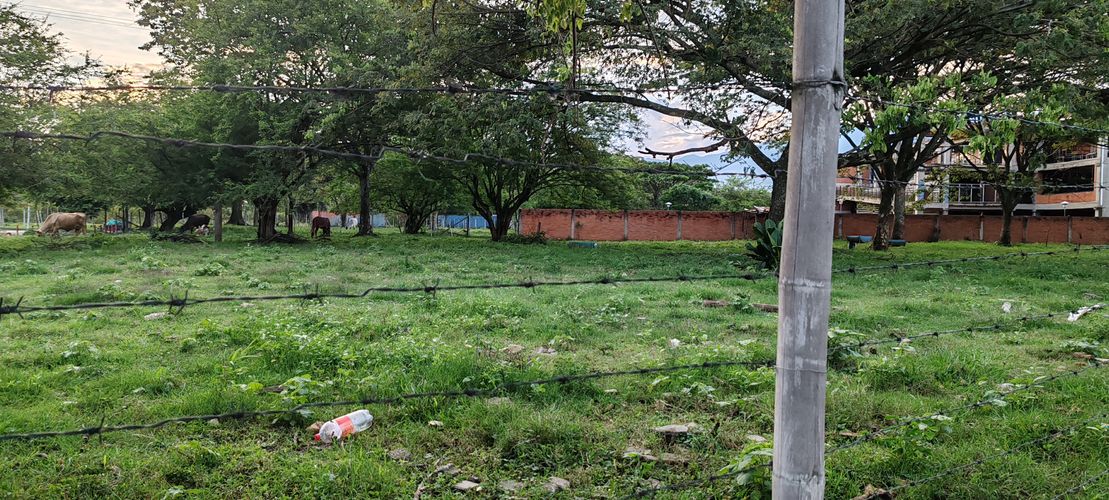Lote en venta en San Isidro, Jamundí, 6000 m² · foto 5 de 7