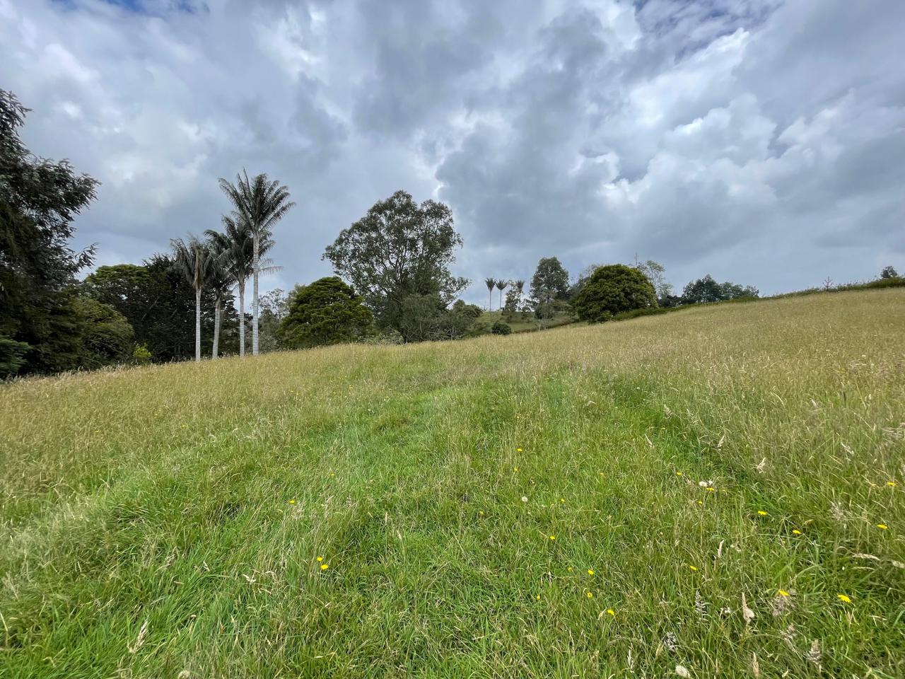 Land in Vía Las Palmas for Sale