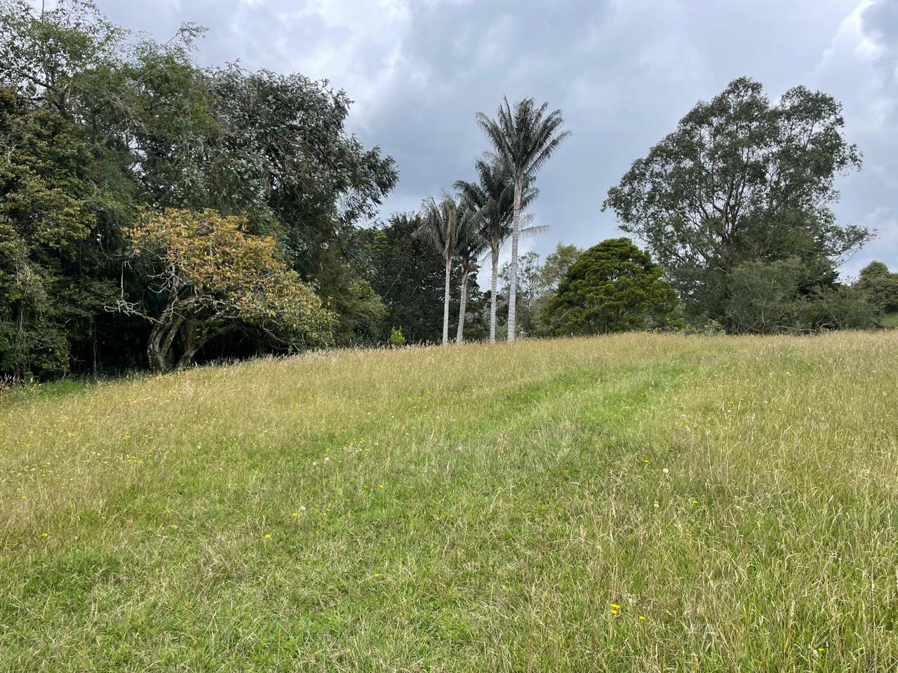 Lote en Venta en Las Palmas, Envigado - 2