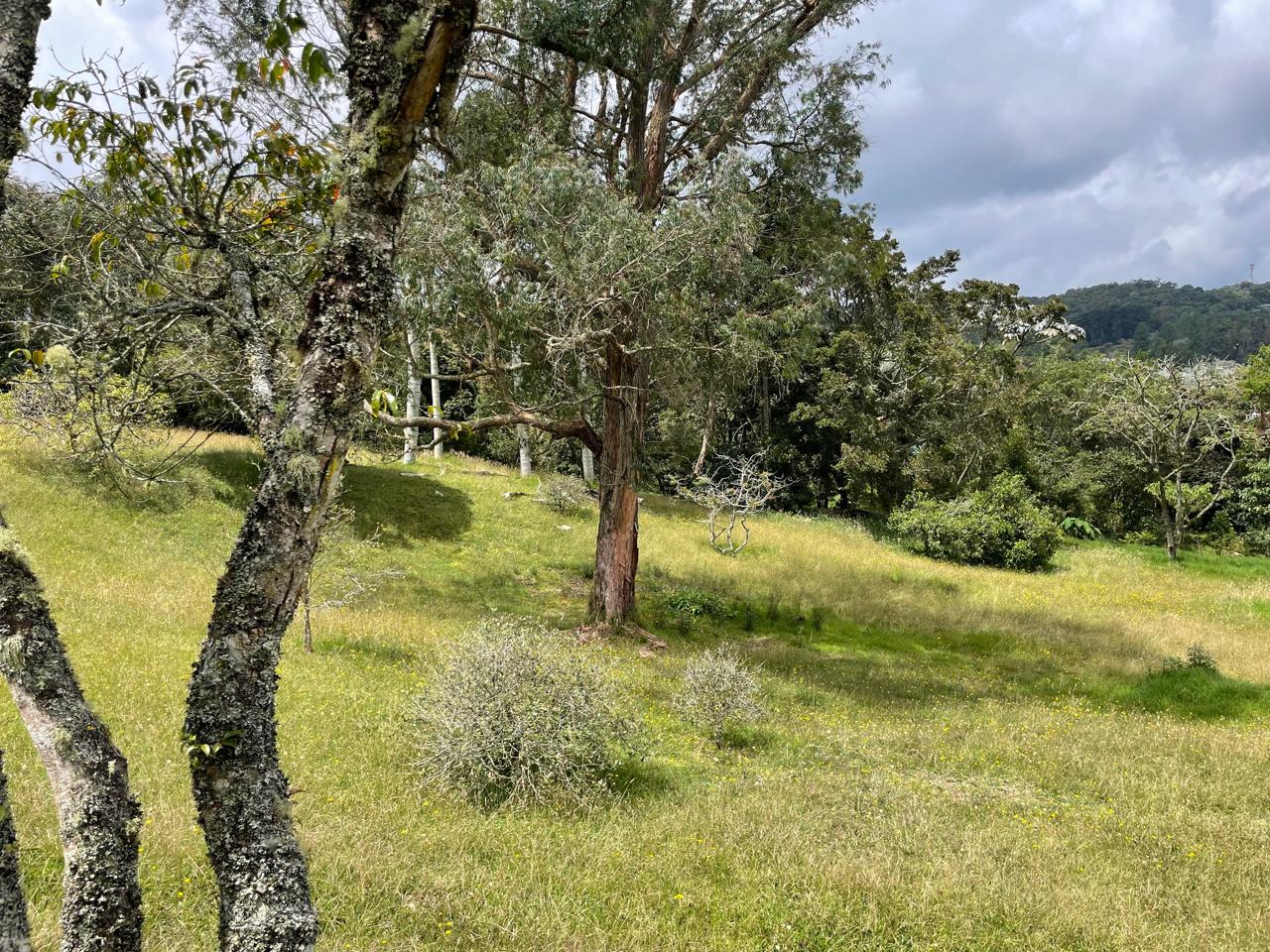 Lote en Venta en Las Palmas, Envigado - 3