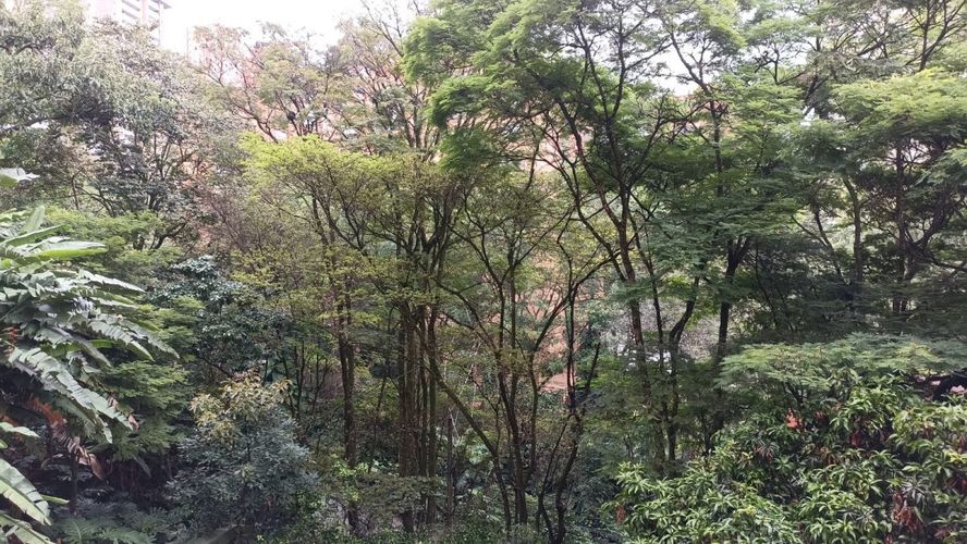 Apartamento de 2 alcobas en venta en Las Lomas, Medellín, 171 m² · foto 11 de 24