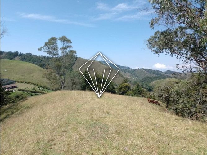 Lote en venta en La Ceja, 65000 m² · foto 2 de 12