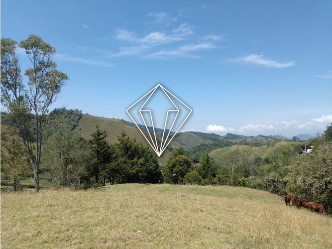 Lote en venta en La Ceja, 65000 m² · foto 3 de 12
