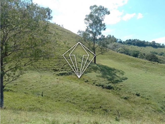 Lote en venta en La Ceja, 65000 m² · foto 5 de 12