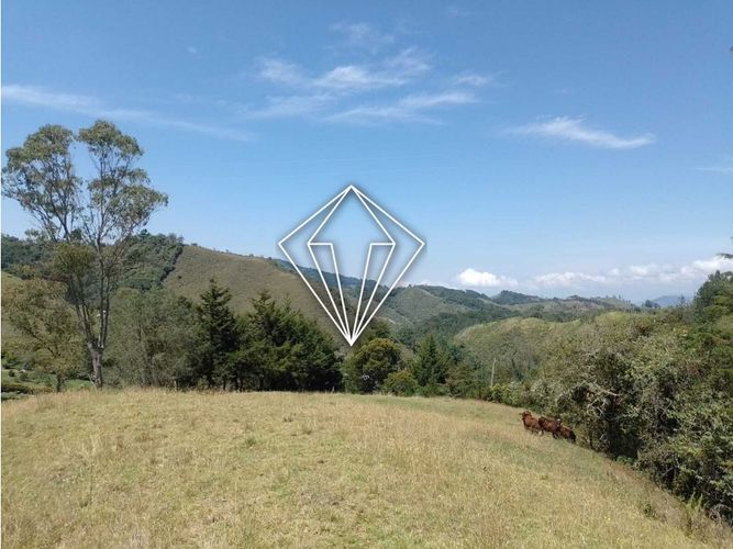 Lote en venta en La Ceja, 65000 m² · foto 6 de 12