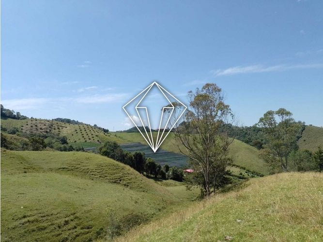 Lote en venta en La Ceja, 65000 m² · foto 7 de 12