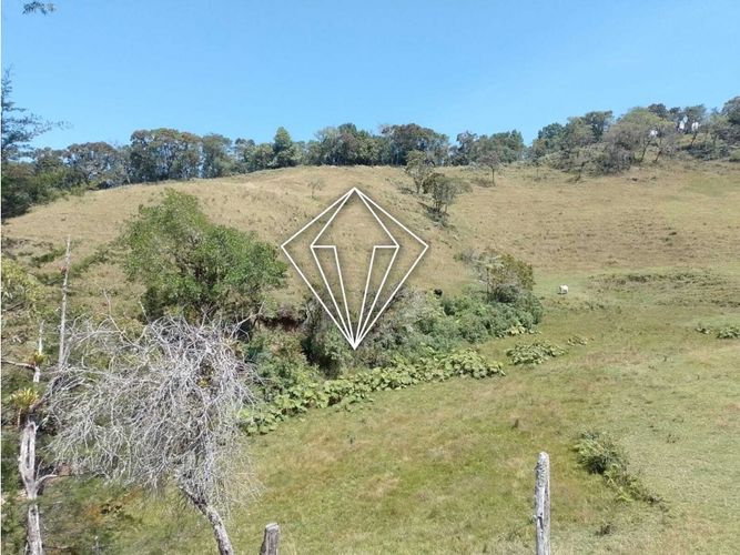 Lote en venta en La Ceja, 65000 m² · foto 8 de 12