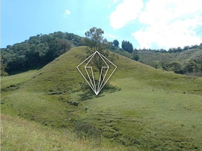 Lote en venta en La Ceja, 65000 m² · foto 10 de 12