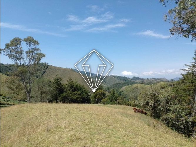 Lote en venta en La Ceja, 65000 m² · foto 12 de 12