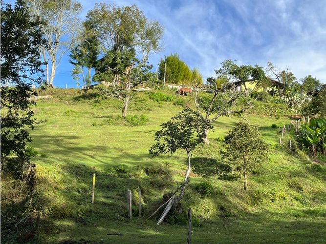 Finca en venta en El Socorro, Marinilla, 170 m² · foto 17 de 21