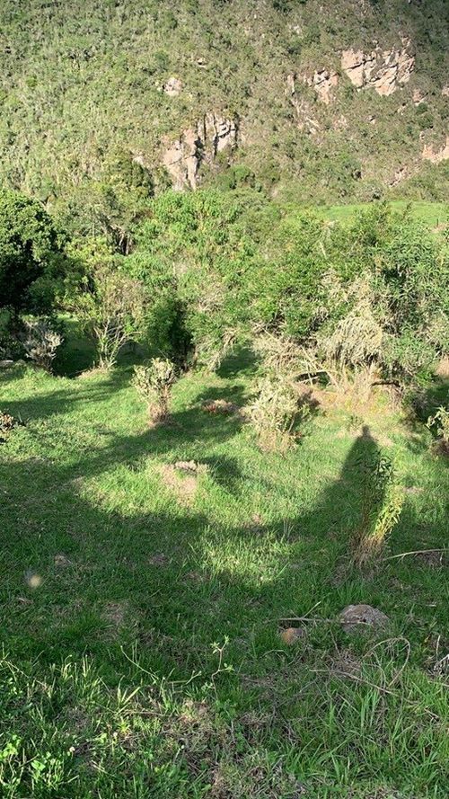Lote en venta en San Jose De La Concepcion, La Calera, 2090 m² · foto 7 de 18