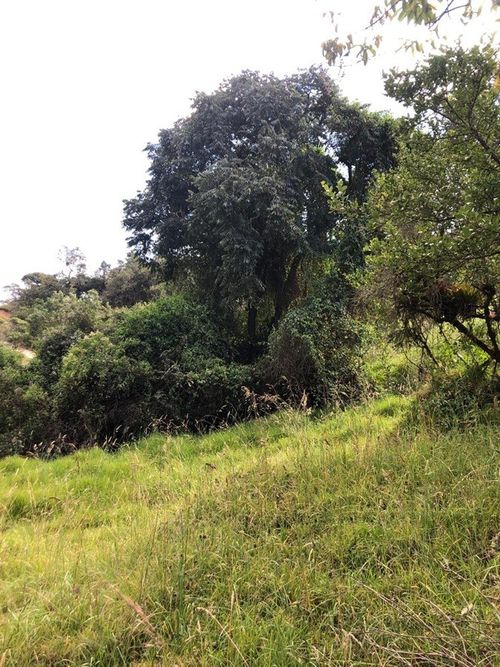 Lote en venta en San Jose De La Concepcion, La Calera, 2090 m² · foto 11 de 18
