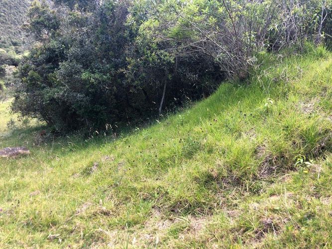Lote en venta en San Jose De La Concepcion, La Calera, 2090 m² · foto 12 de 18