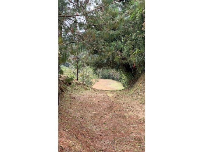 Lote en venta en Los Salados, El Retiro, 12450 m² · foto 6 de 9