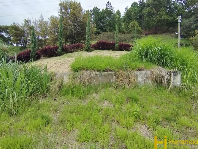Lote en venta en Niquia, Bello, 3392 m² · foto 18 de 21
