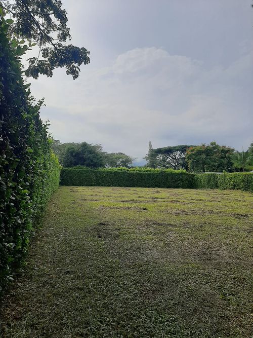 Lote en venta en La Morada, Jamundí, 1250 m² · foto 3 de 4