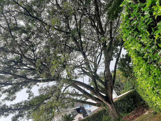 Lote en venta en La Morada, Jamundí, 1250 m² · foto 4 de 4
